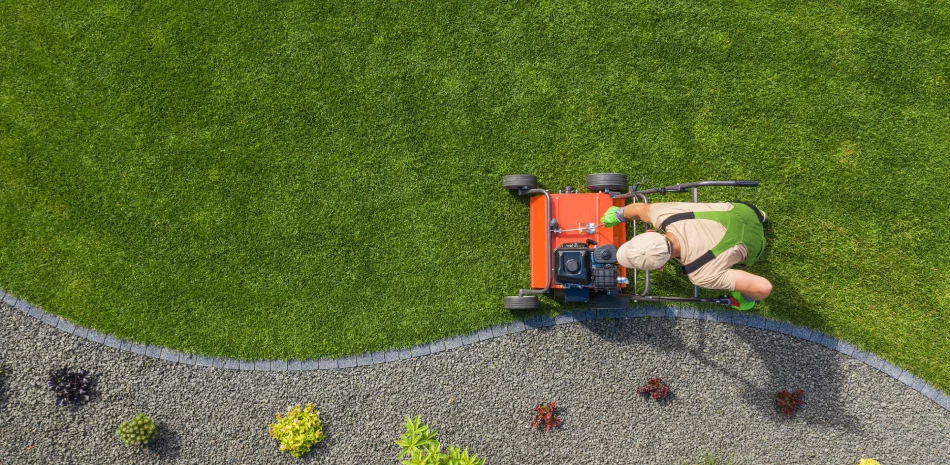 Lawn Care Lawn Care